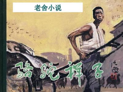 能看的网站懂的2025